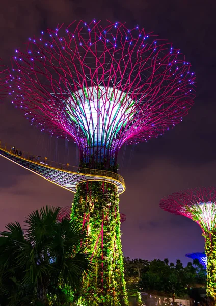 Park Gardens Bay Singapur Naturaleza Antecedentes Viaje —  Fotos de Stock
