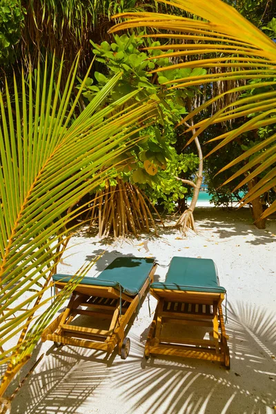 Chaise Longue Sur Plage Des Maldives Arrière Plan Vacances Nature — Photo