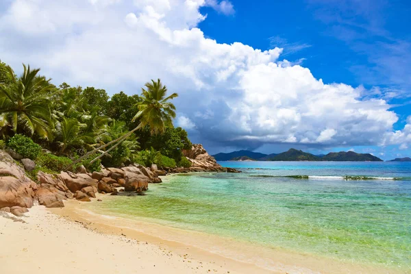 Palmen Tropischen Strand Seychellen Hintergrund Der Natur — Stockfoto