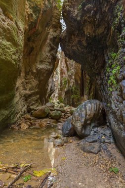 Paphos 'taki Kıbrıs adasındaki Avakas Kanyonu - seyahat geçmişi