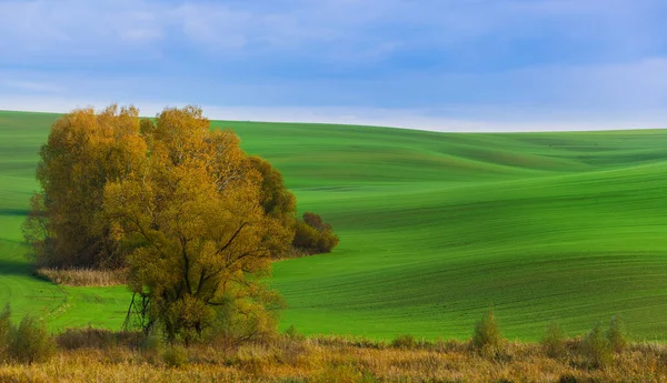 Famous Moravian Fields Czech Republic Nature Travel Background — Stock Photo, Image