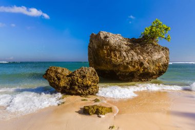 Bali Endonezya 'daki Padang Padang Sahili - doğal tatil geçmişi