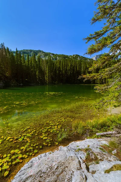 Slangenmeer Durmitor Montenegro Natuur Reizen Achtergrond — Stockfoto