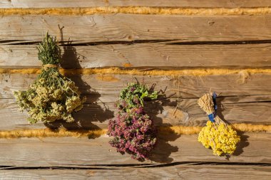 Ahşap duvarda kurumuş çiçek buketleri - doğa arka planı