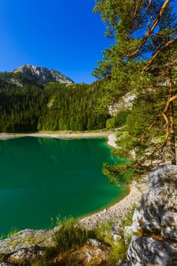Durmitor 'daki Kara Göl (Crno Jezero) - Karadağ - doğa yolculuğu geçmişi