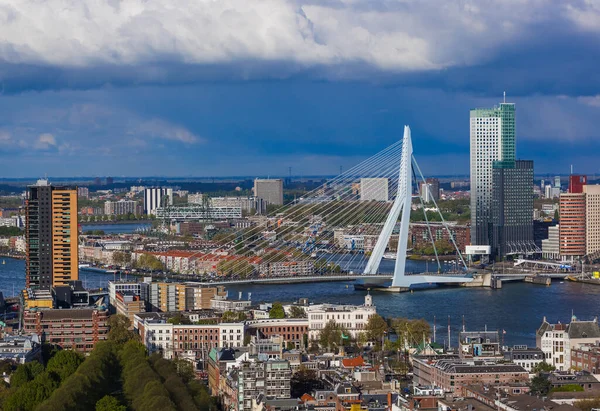 Rotterdam şehir manzarası - Hollanda - mimari arka plan