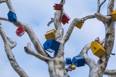 Ağaçtaki çok renkli ahşap kuş evleri - Petrozavodsk Rusya