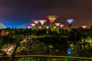 Singapur Körfezi kıyısındaki Park Gardens - doğa ve seyahat geçmişi