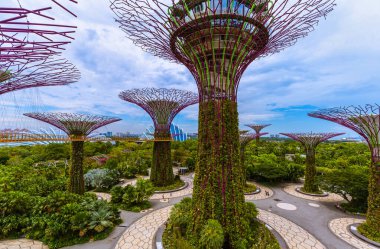 Singapur Körfezi kıyısındaki Park Gardens - doğa ve seyahat geçmişi
