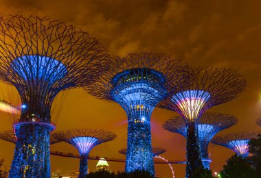 Singapur Körfezi kıyısındaki Park Gardens - doğa ve seyahat geçmişi