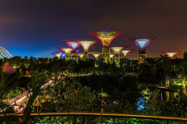 Singapur Körfezi kıyısındaki Park Gardens - doğa ve seyahat geçmişi