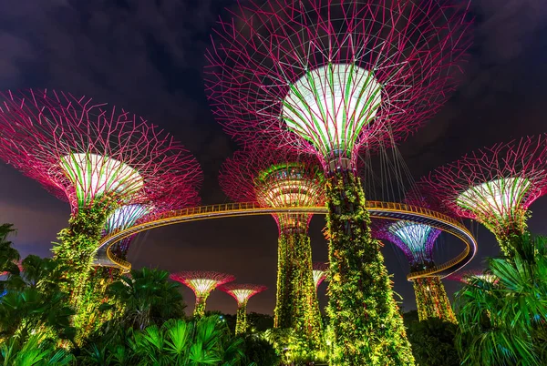 Park Gardens Bay Singapur Naturaleza Antecedentes Viaje — Foto de Stock