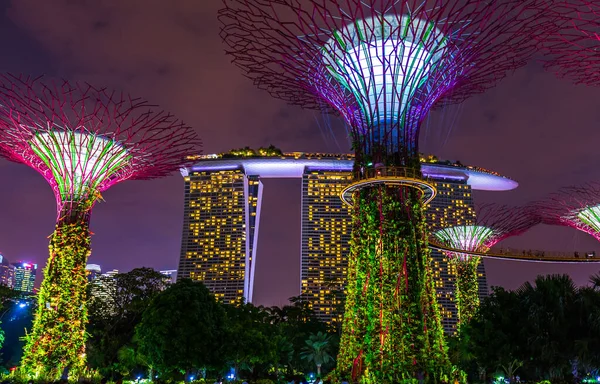 Park Gardens Bay Singapur Naturaleza Antecedentes Viaje — Foto de Stock