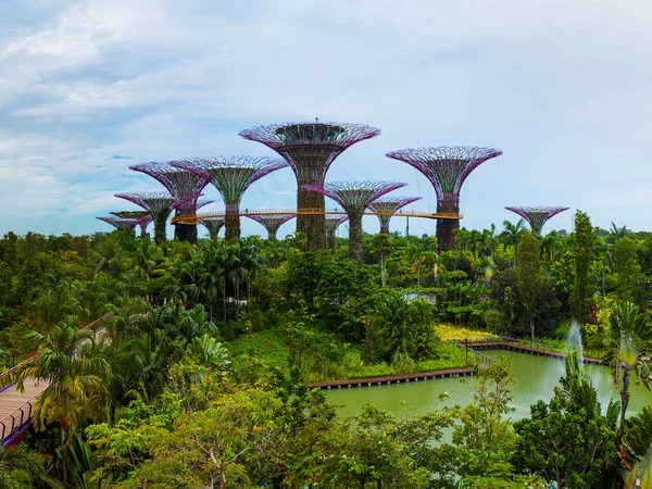 Park Gardens Bay Singapur Naturaleza Antecedentes Viaje — Foto de Stock