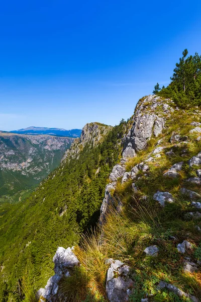 River Tara Kanyonu Karadağ Doğa Yolculuğu Geçmişi — Stok fotoğraf