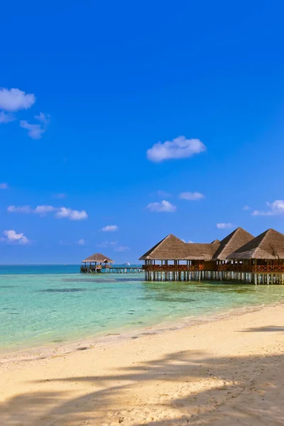 Cafe Tropische Malediven Eiland Natuur Reizen Achtergrond — Stockfoto