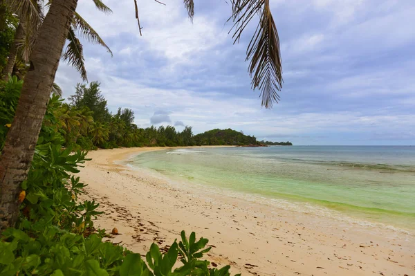 Tropisch Strand Van Seychellen Natuur Achtergrond — Stockfoto