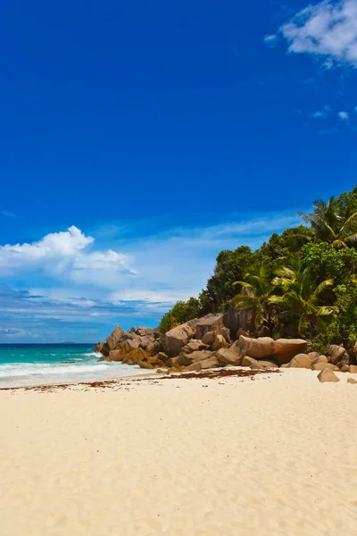 Trópusi Strand Seychelles Természet Háttér — Stock Fotó