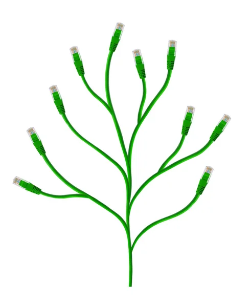 Rostlina z počítače kabel — Stock fotografie