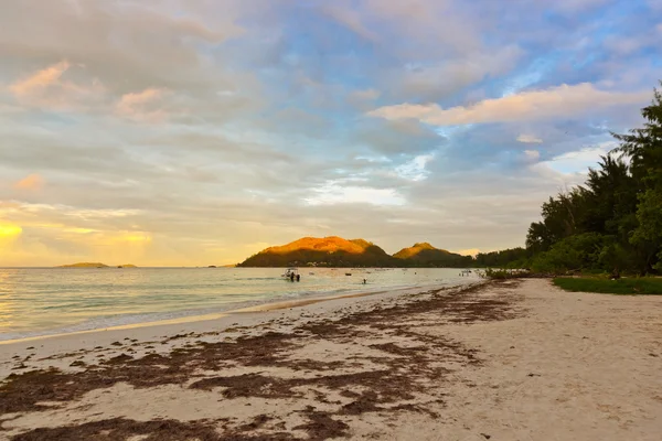 Praia tropical Cote d 'Or ao pôr-do-sol - Seychelles — Fotografia de Stock