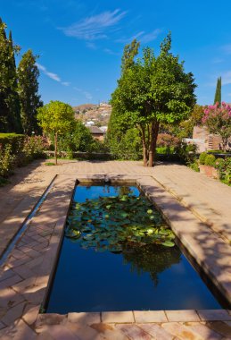Alhambra palace, granada, İspanya