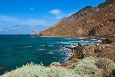 Tenerife adasındaki sahil - Kanarya İspanya