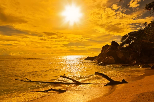 Gün batımında Seyşel Adaları tropikal plaj — Stok fotoğraf