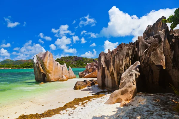 Ilha tropical Curieuse em Seychelles — Fotografia de Stock