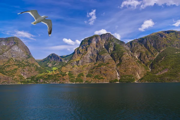 フィヨルド ノルウェー - 有名なユネスコ世界遺産の naeroyfjord — ストック写真