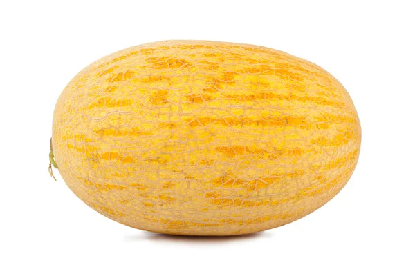 Melón — Foto de Stock