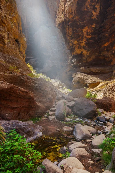 在特内里费岛-金丝雀的著名峡谷游 — 图库照片
