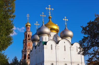 Moskova Rusya 'daki Novodevichiy manastırı