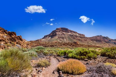 tenerife adasında - Kanarya teide yanardağı