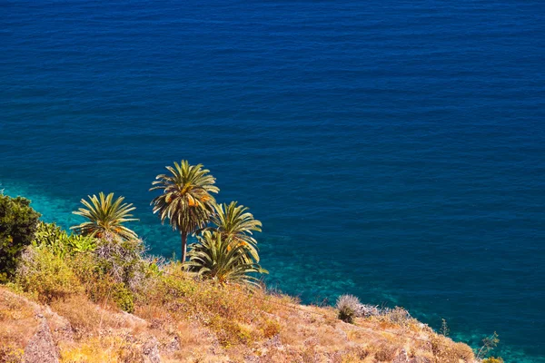 Παραλία στο νησί la gomera - καναρίνι — Φωτογραφία Αρχείου