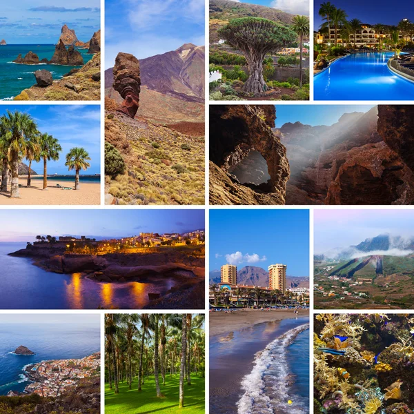 Collage av Teneriffa kanariefågel bilder — Stockfoto