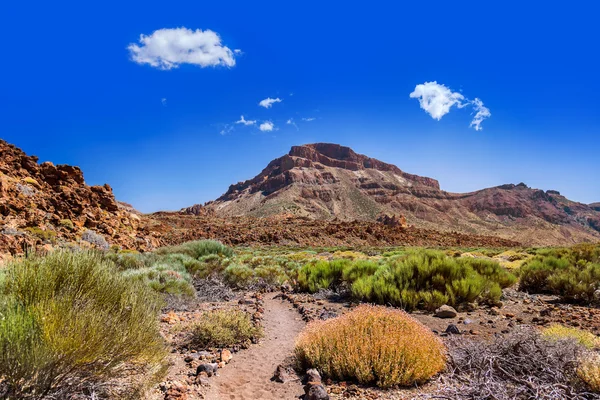 Volcán Teide en Isla de Tenerife - Canarias — Foto de Stock