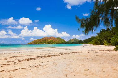 tropik sahil cote d'or - ada praslin Seyşeller