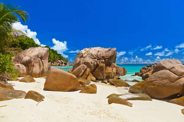 Plage tropicale aux Seychelles — Photo
