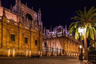 İspanya sevilla Cathedral la giralda
