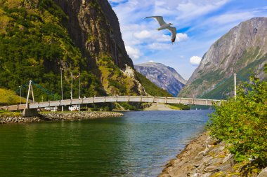 Fjord sognefjord - Norveç arasında köprü