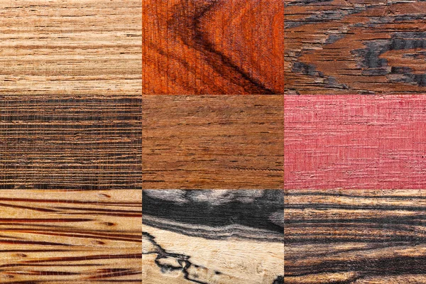 Set de fondos de madera — Foto de Stock