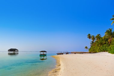 Tropik Maldivler Adası