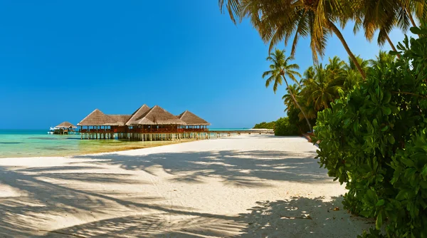 Isola tropicale delle Maldive — Foto Stock