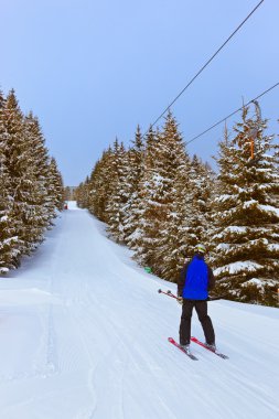 dağlar resort zell am see Avusturya Kayak