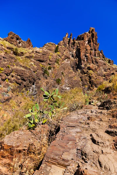 Famous canyon Masca at Tenerife - Canary — Stock Photo, Image