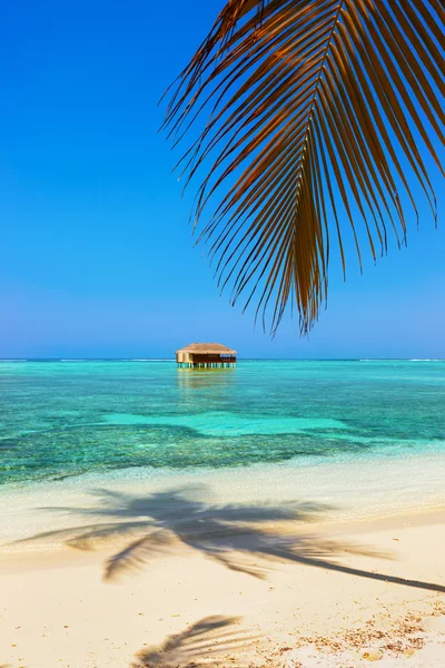 Isla de las Maldivas tropicales — Foto de Stock