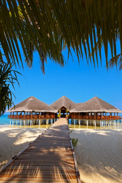 Cafe op tropisch eiland Maldiven — Stockfoto