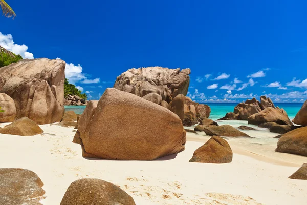 Tropisch strand op de Seychellen — Stockfoto