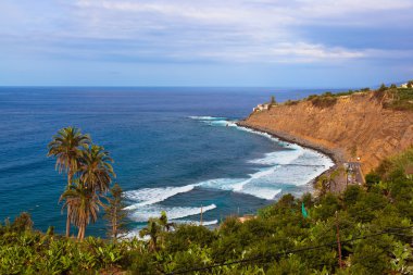 puerto de la Cruz'da - tenerife (Kanarya Adası Plajı)