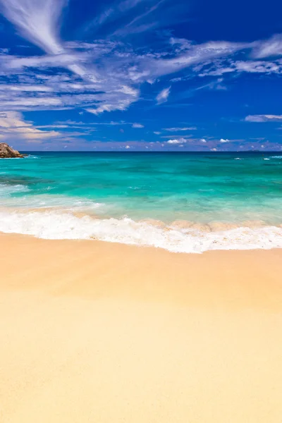Тропічний пляж на Сейшельські острови — стокове фото